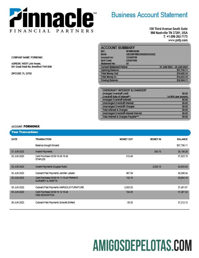 Em branco Pinnacle Financial Bank Firm modelo de extrato de conta Word e PDF